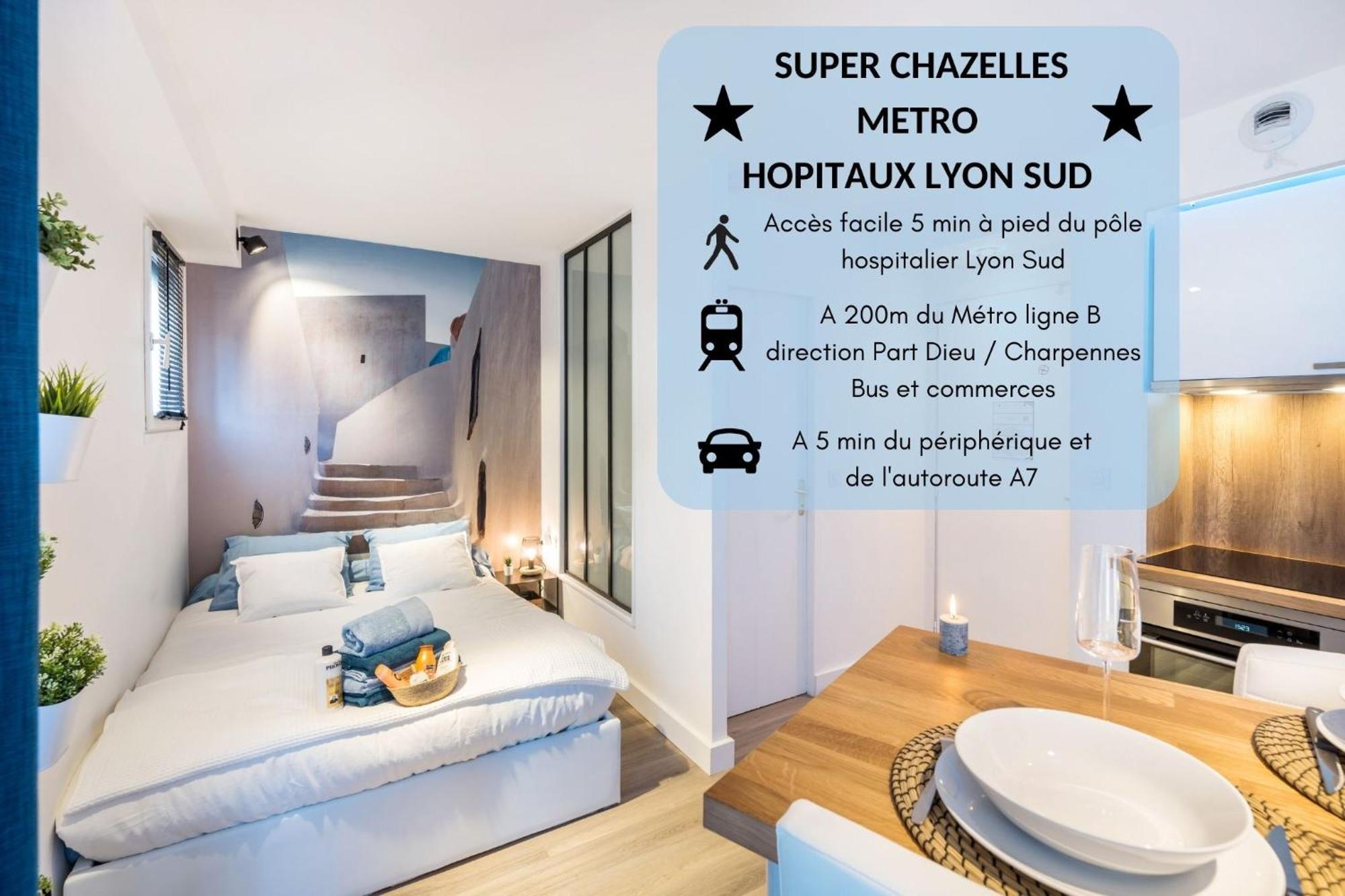 Apartment Super Chazelles - Metro - Hopitaux Lyon Sud